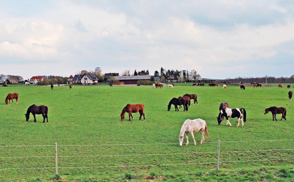 Ferienwohnung Bergblick Xanten Εξωτερικό φωτογραφία